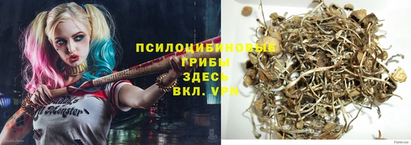 МДПВ Аркадак